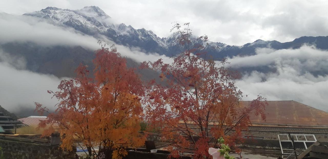 Hotel Rocky Island Kazbegi Exterior foto